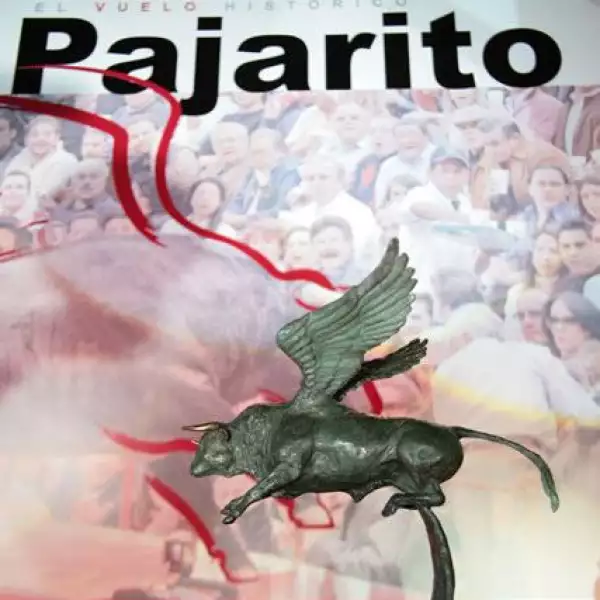 presentacion libro Pajarito