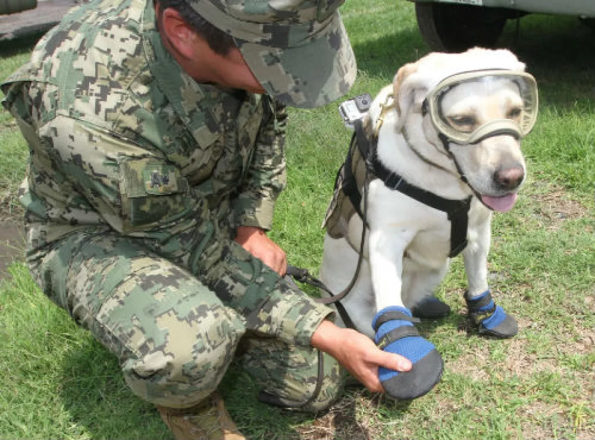 Frida, unidad de rescate