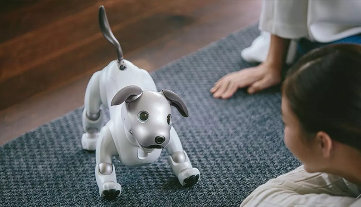 Aibo