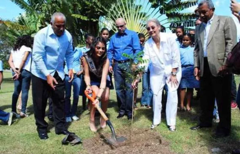 Con una pala manual, zapatillas de tacón, una estrecha minifalda azul y la banda que la identifica como reina de belleza, Navarrete colocó la tierra para cubrir las raíces del pequeño árbol de caoba.