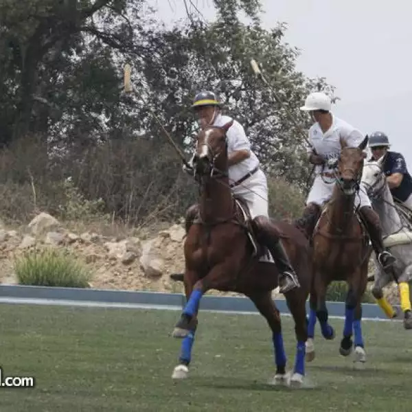 Copa Polo Jack Daniel´s