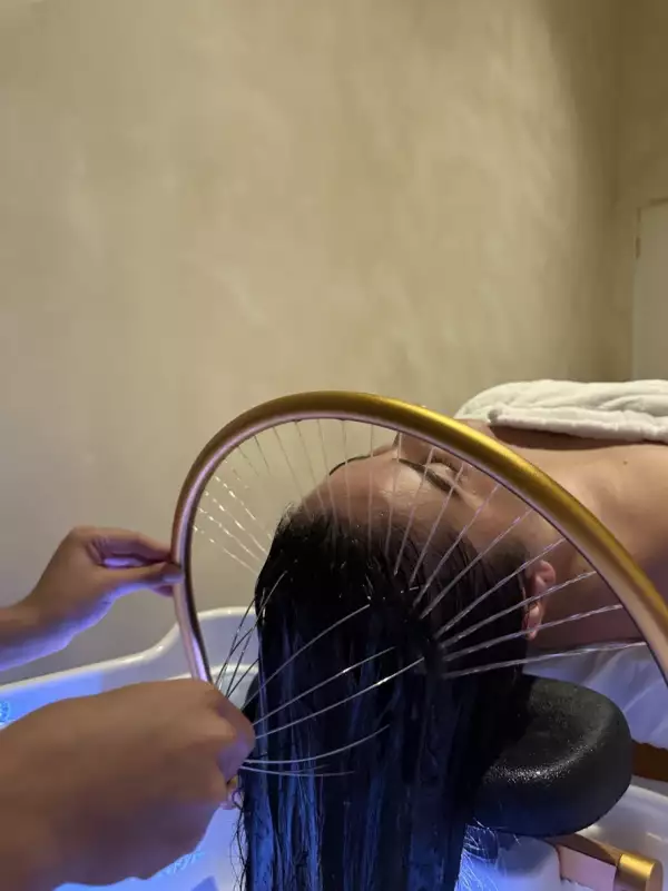 Wellnessroots