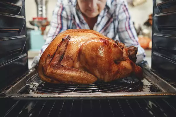 Pavo de Thanksgiving