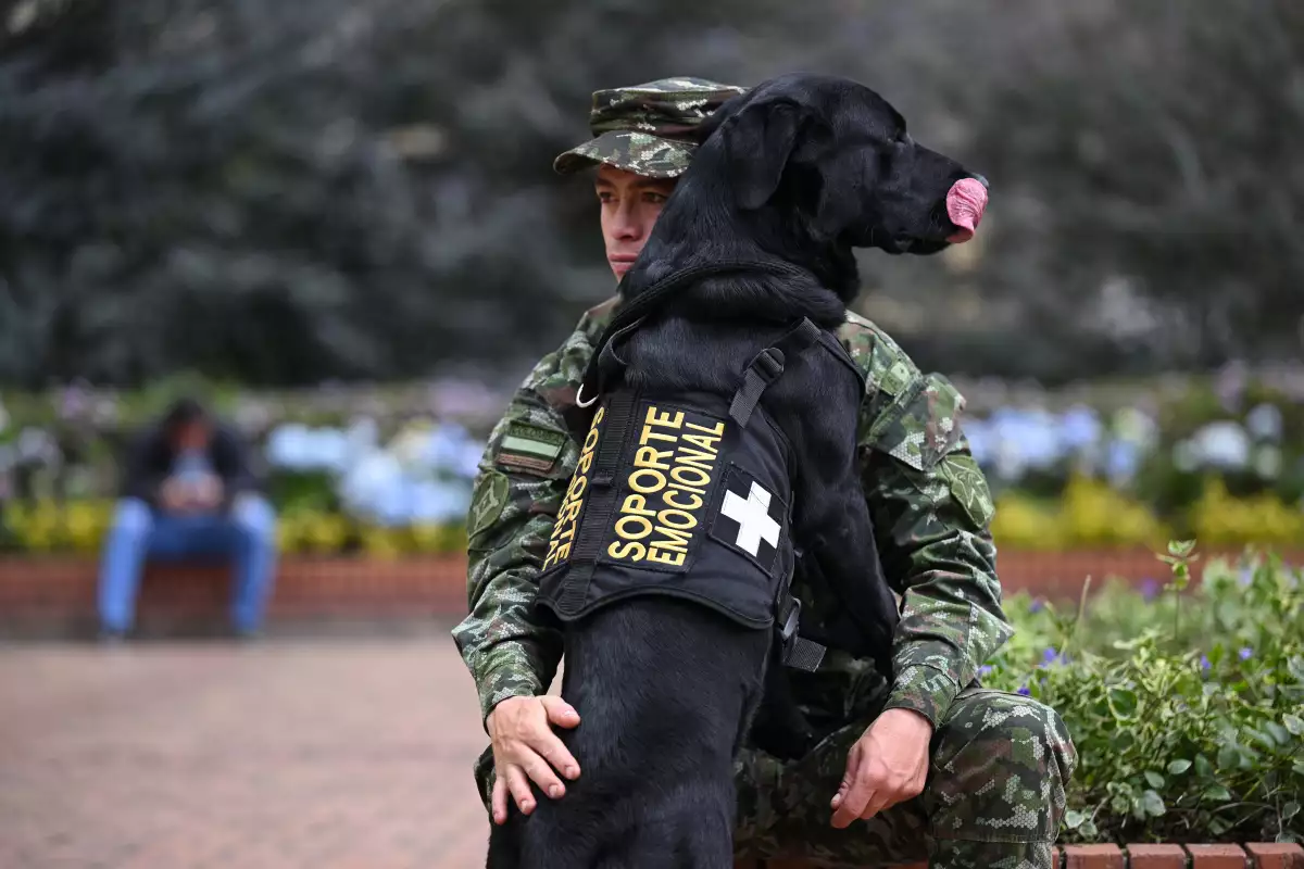 perros de apoyo emocional en colombia