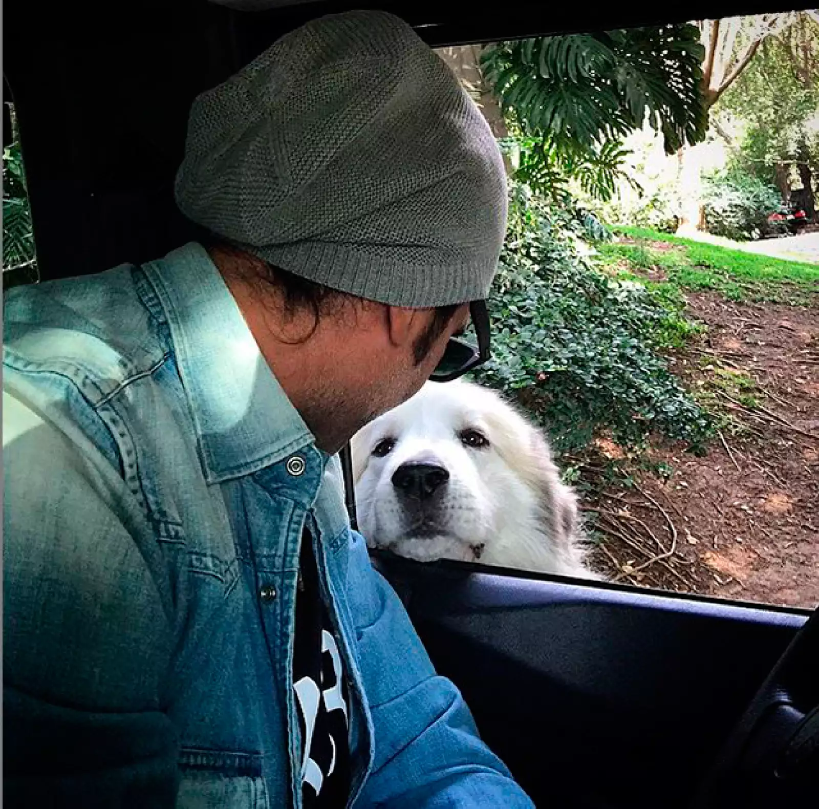Alejandro gusta de compartir hermosas fotografías junto a sus perros.