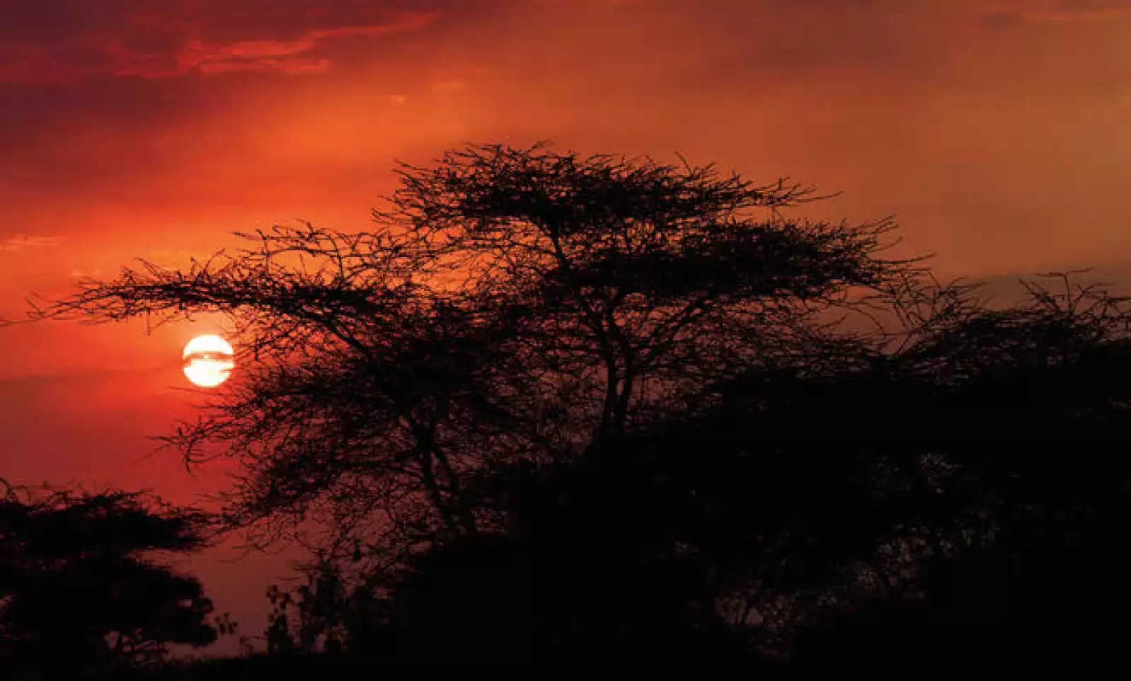 La reserva nacional del Ngorongoro, en Tanzania, está a menos de 100 kilómetros del parque nacional del Serengueti. Está enclavada en un antiguo cráter donde abunda la vida salvaje.