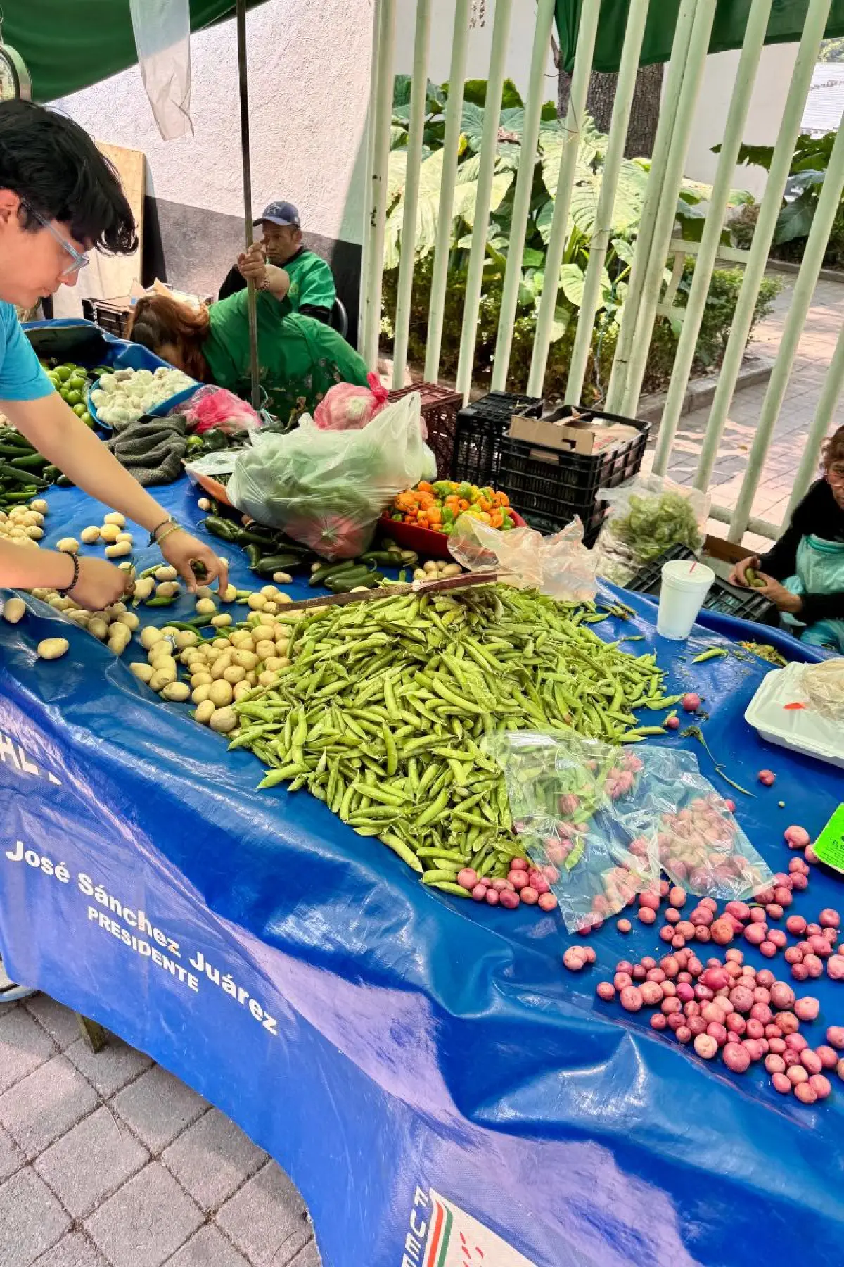 Tianguis de los sábados en Polanco Ciudad de México