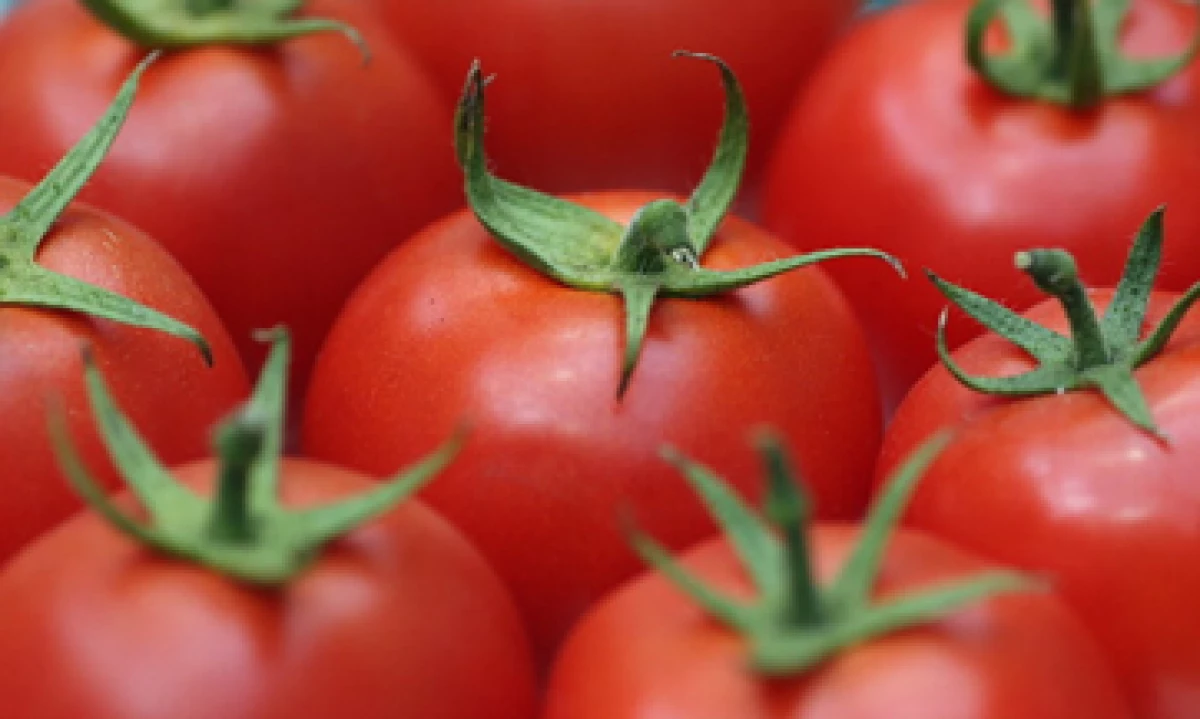Expertos estiman que EU podría imponer impuestos preliminares al tomate mexicano. (Foto: Getty Images)