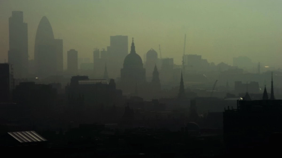london fogg