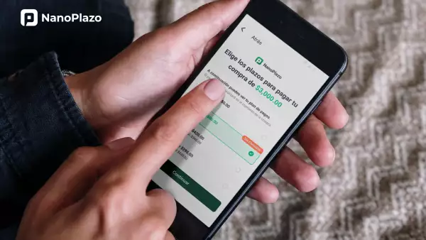 NanoPlazo.png