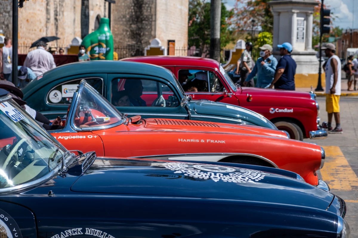 Rally maya