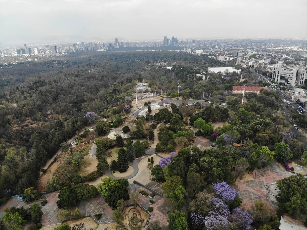 Bosque de Chapultepec