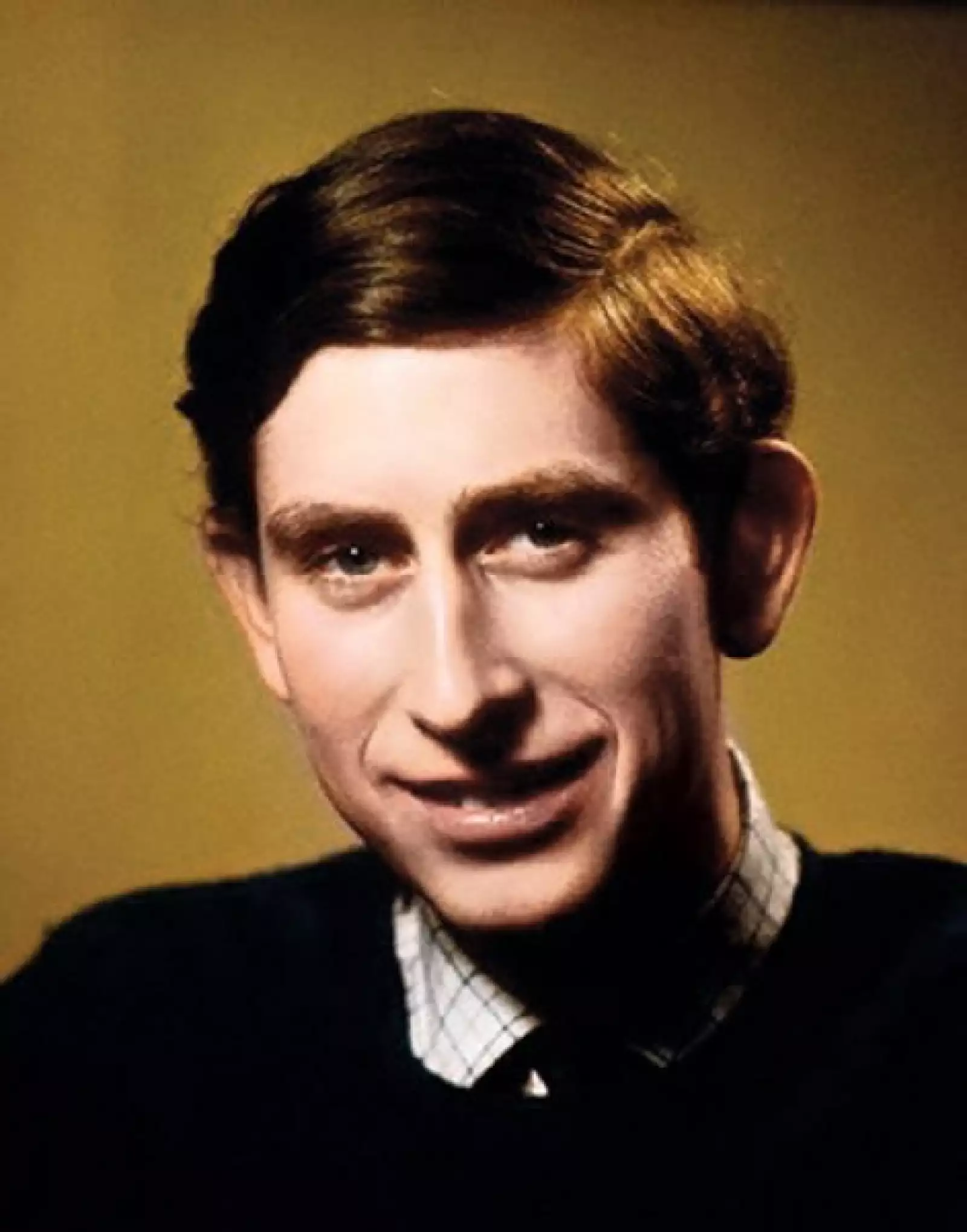(1975. 27 años) Los príncipes de Gales tuvieron dos hijos: Guillermo (William), segundo en la línea de sucesión al trono Británico, y Enrique (Harry), tercer puesto en la línea de sucesión al trono.