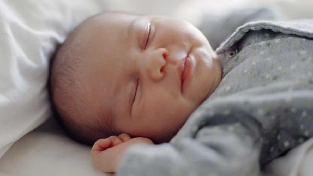 bebe