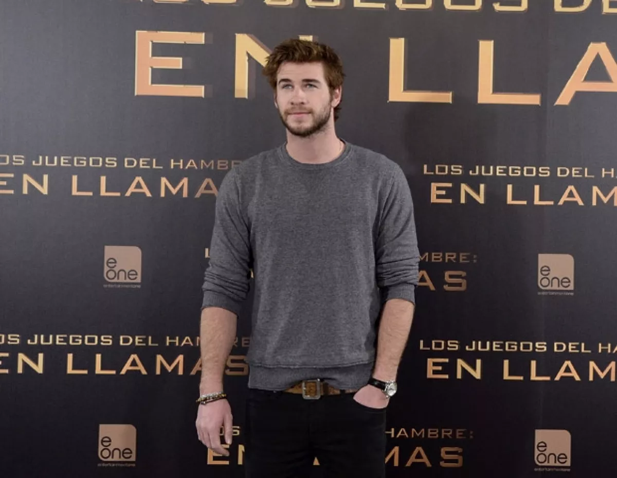 Liam decidió por fin ponerle fin a los rumores.