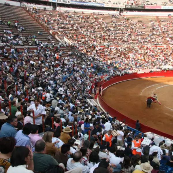 Corrida de Toros 15/02