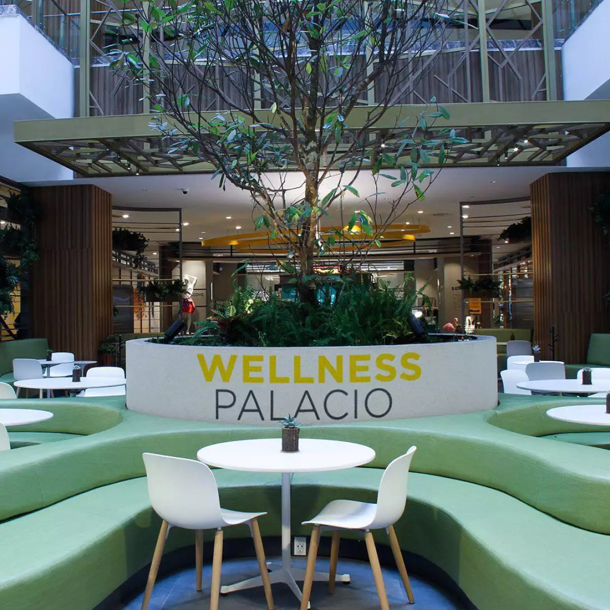 Wellness Palacio