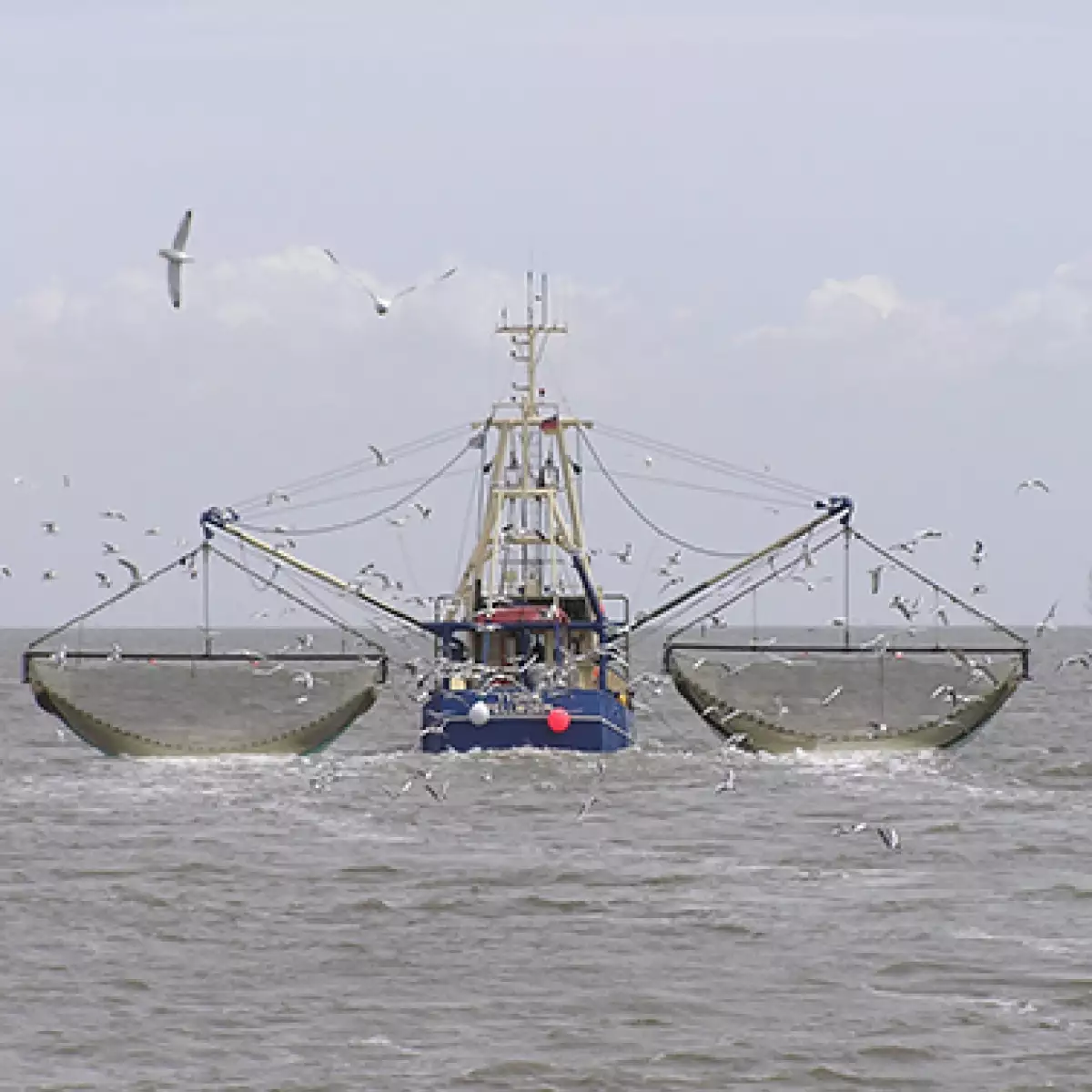 LOG-barco pesquero