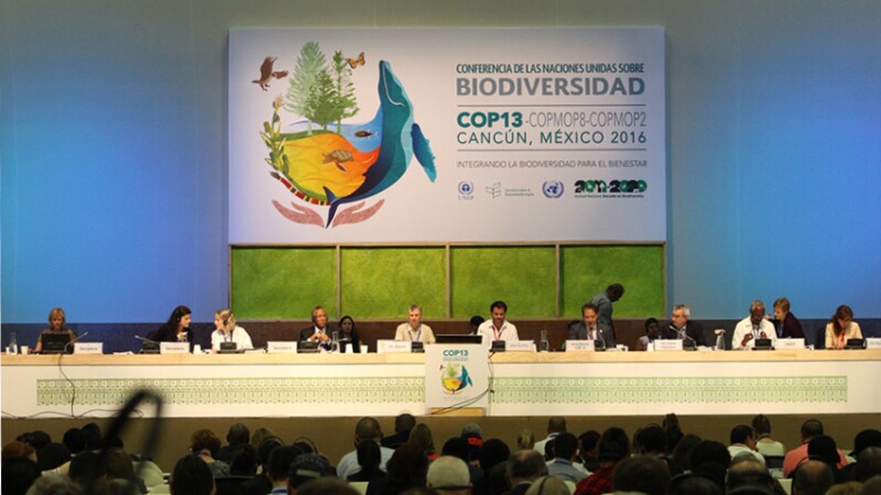 Piden integrar la biodiversidad como