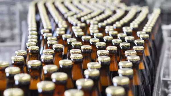 beer filling in a brewery - conveyor belt with glass bottles