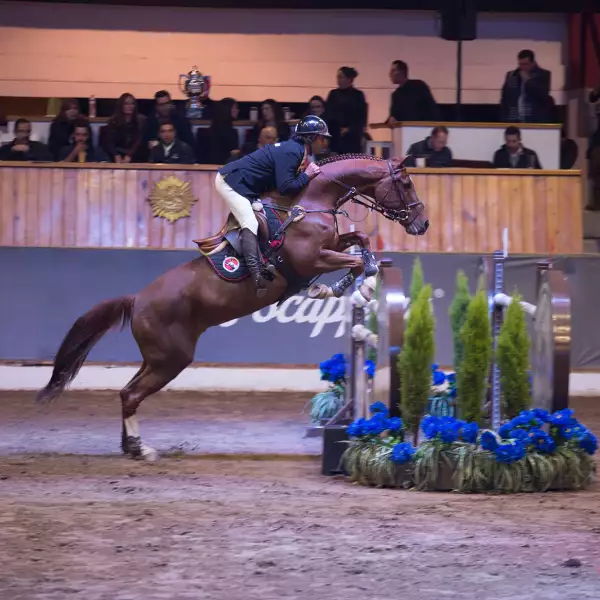 Copa Audi-Scappino