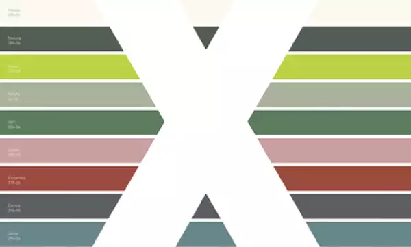 Endémcio paleta de colores Comex