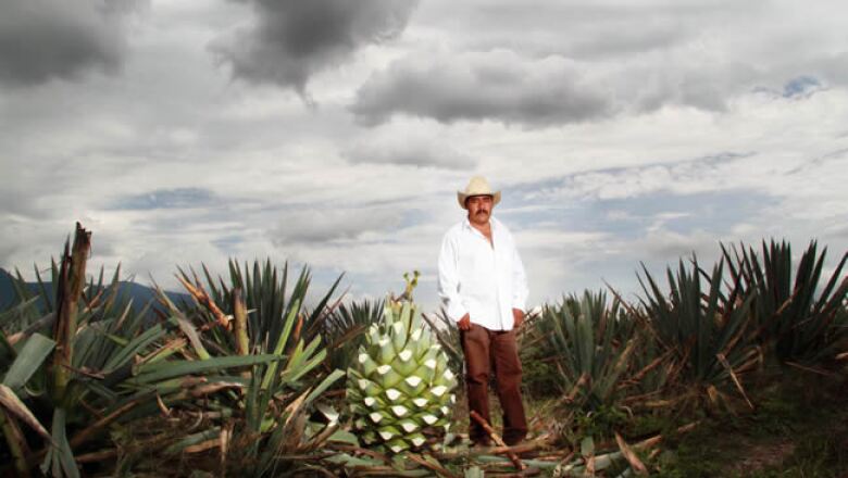 Mezcalera Oro de Oaxaca