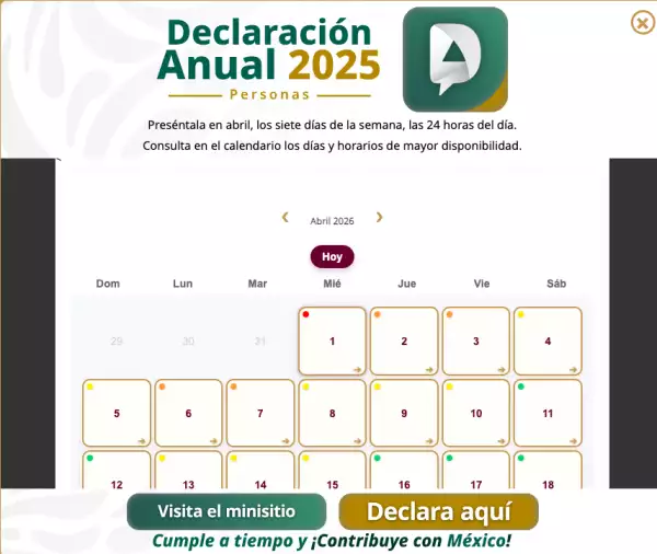 declaracion_anual_2025