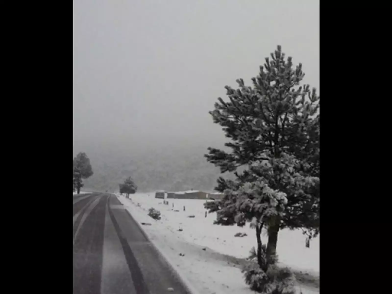 La nevada inició alrededor de las 8:00 horas de este miércoles.