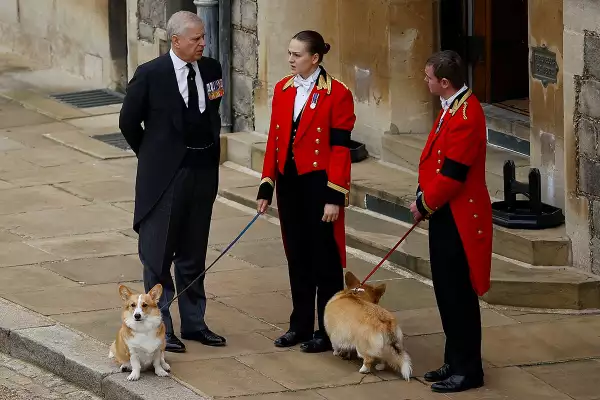 Sarah Ferguson quedó a cargo de los corgis de la reina Isabel II