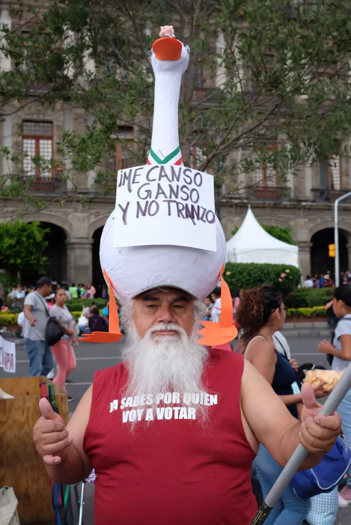 AMLOFest simpatizante me canso ganzo