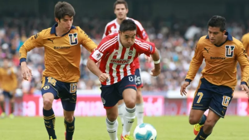 chivas