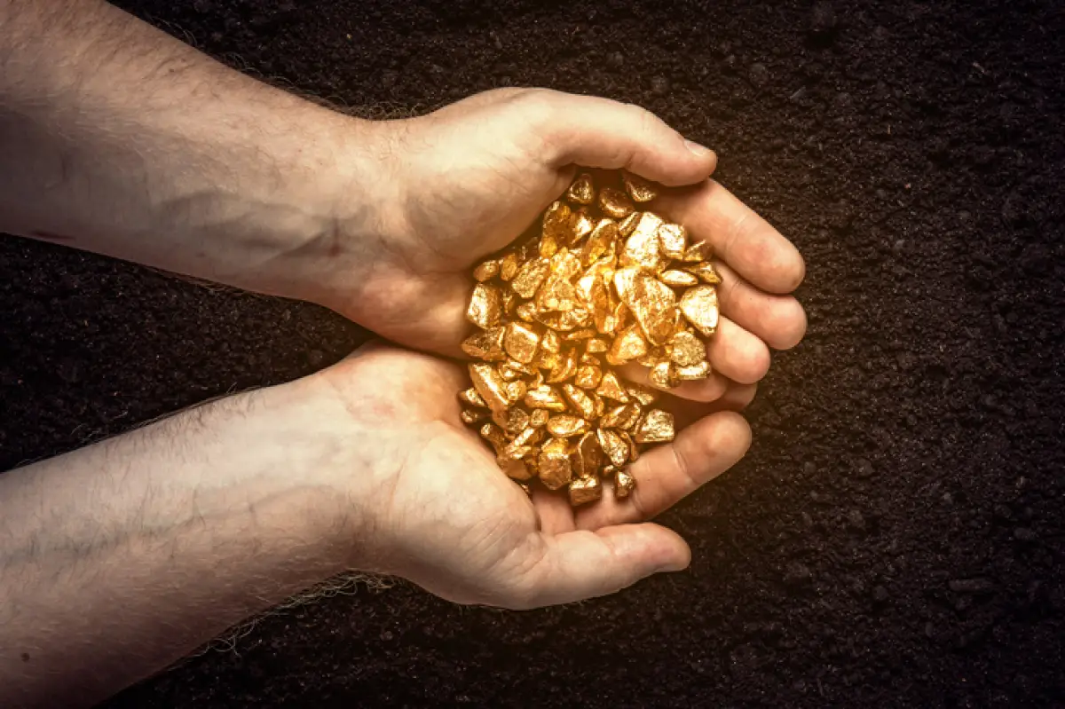 pepitas de oro