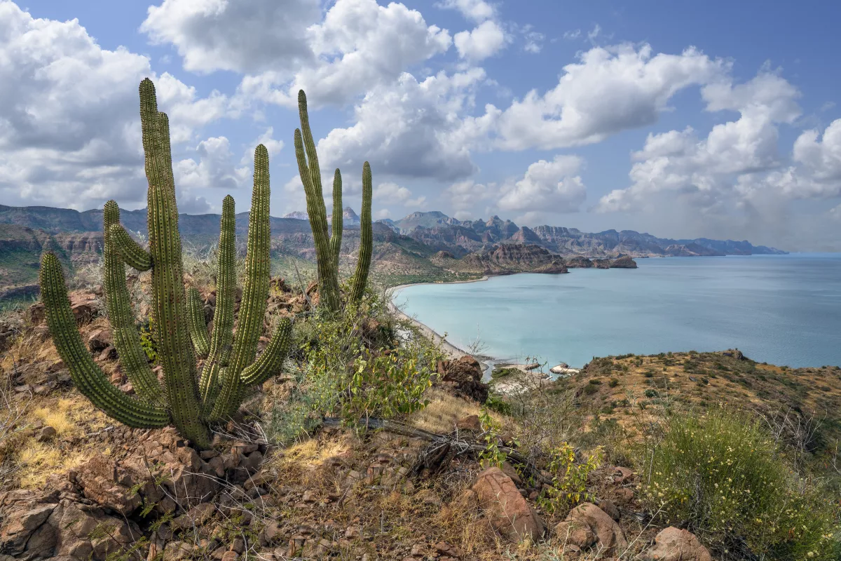 Baja California