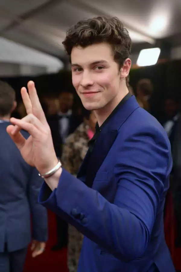 Shawn Mendes vive un proceso de sanación revelador tras ir a terapia