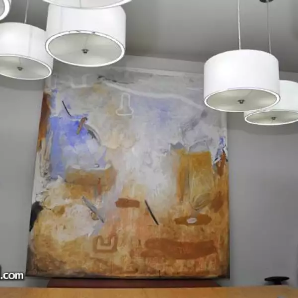 Aspectos de las Pinturas