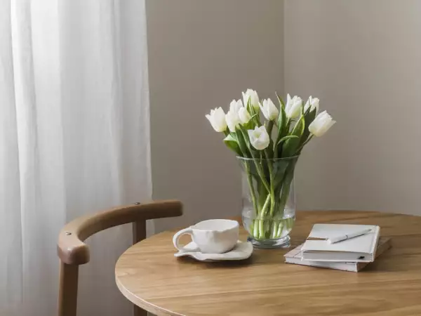 White tulips