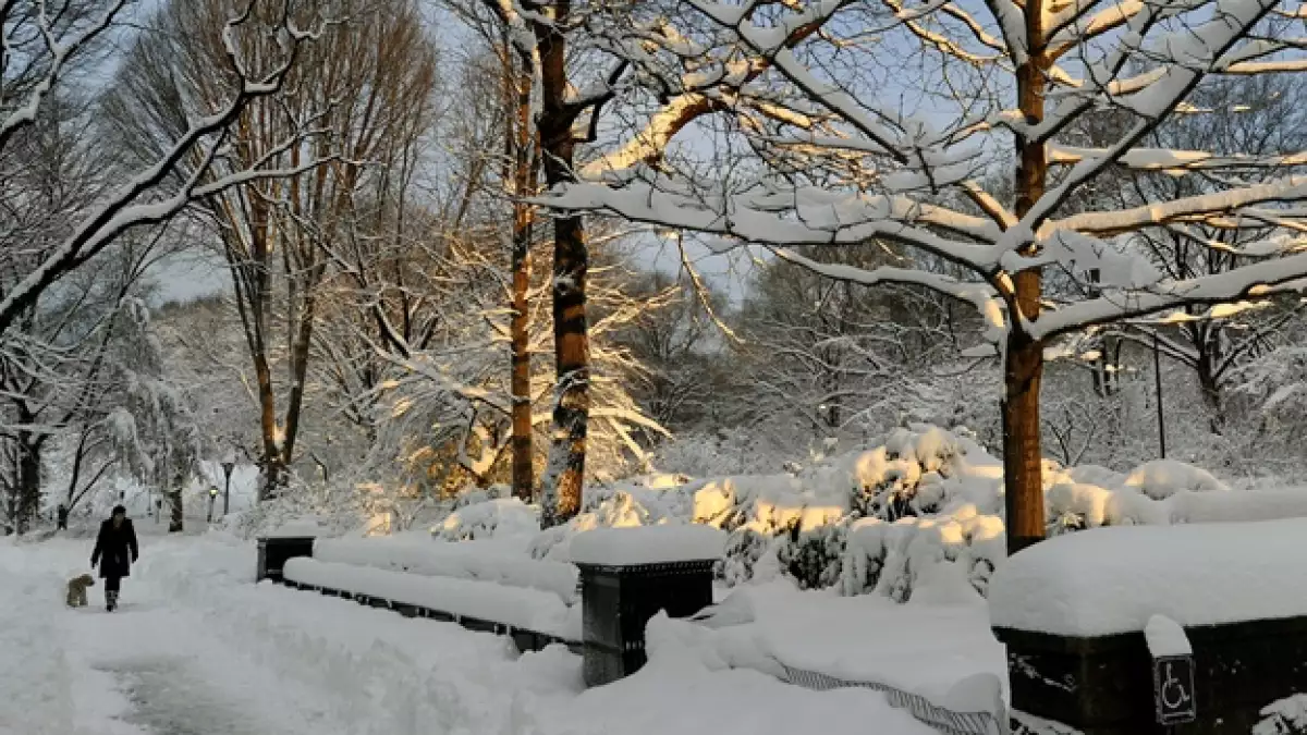 nueva york new york bench