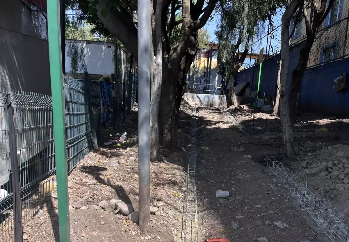 El árbol que a nadie le importo verlo morir