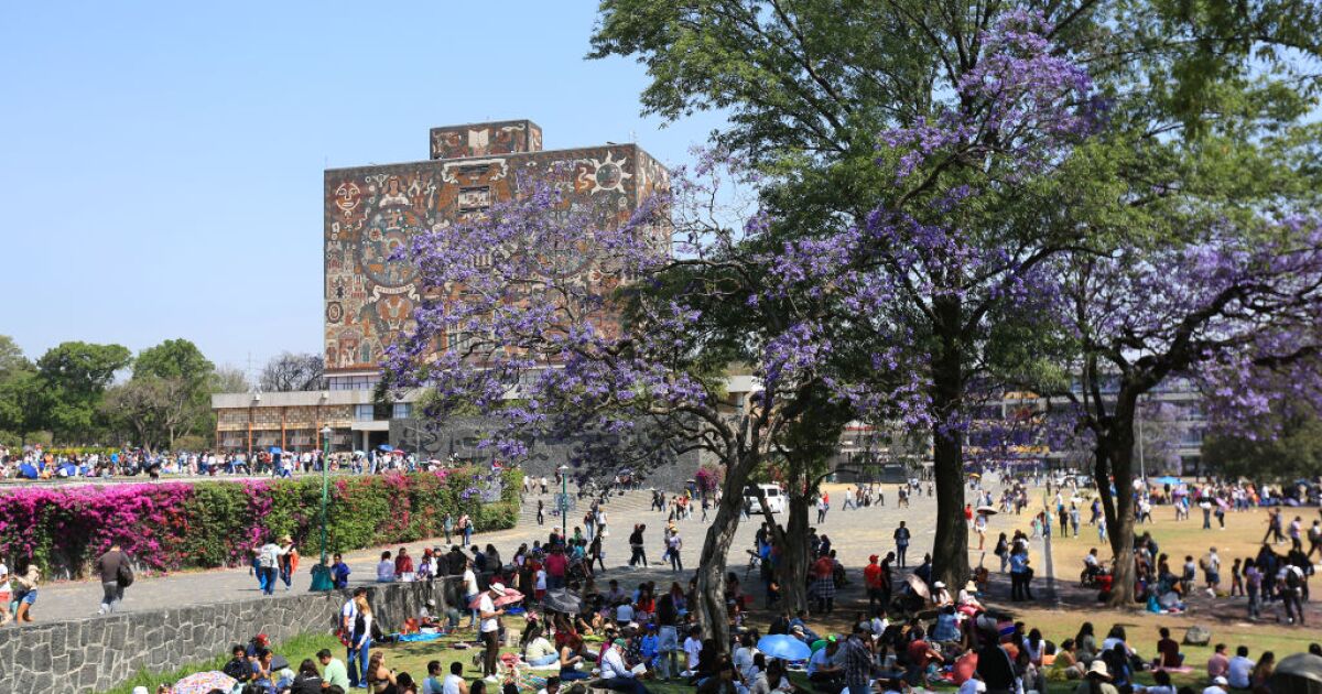 UNAM ve IPN ne zaman sınıflara geri döner? 2025 Okul Takvimleri