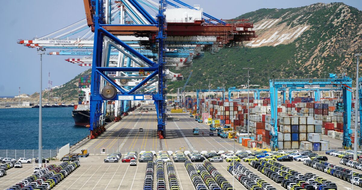 BM uyardı: Dünya ticareti 2025'te rekor kıracak, ancak 2026'da soğuyacak