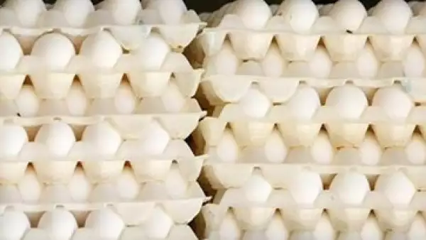 La importación de huevo se debe a la contingencia sanitaria que sufre la producción del alimento en México.    (Foto: Reuters)