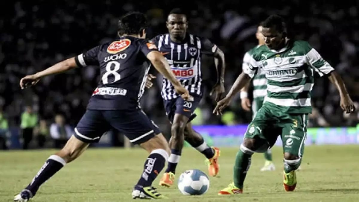 rayados