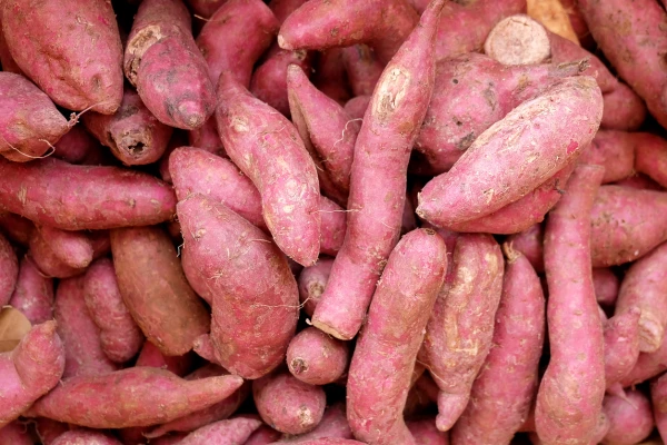 Ingrediente