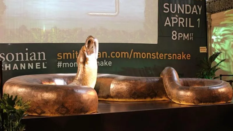 Titanoboa