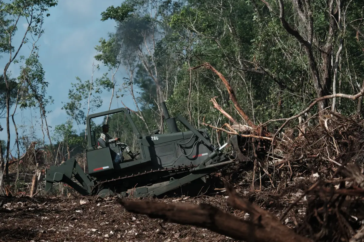 bosques-deforestacion-mexico.JPG