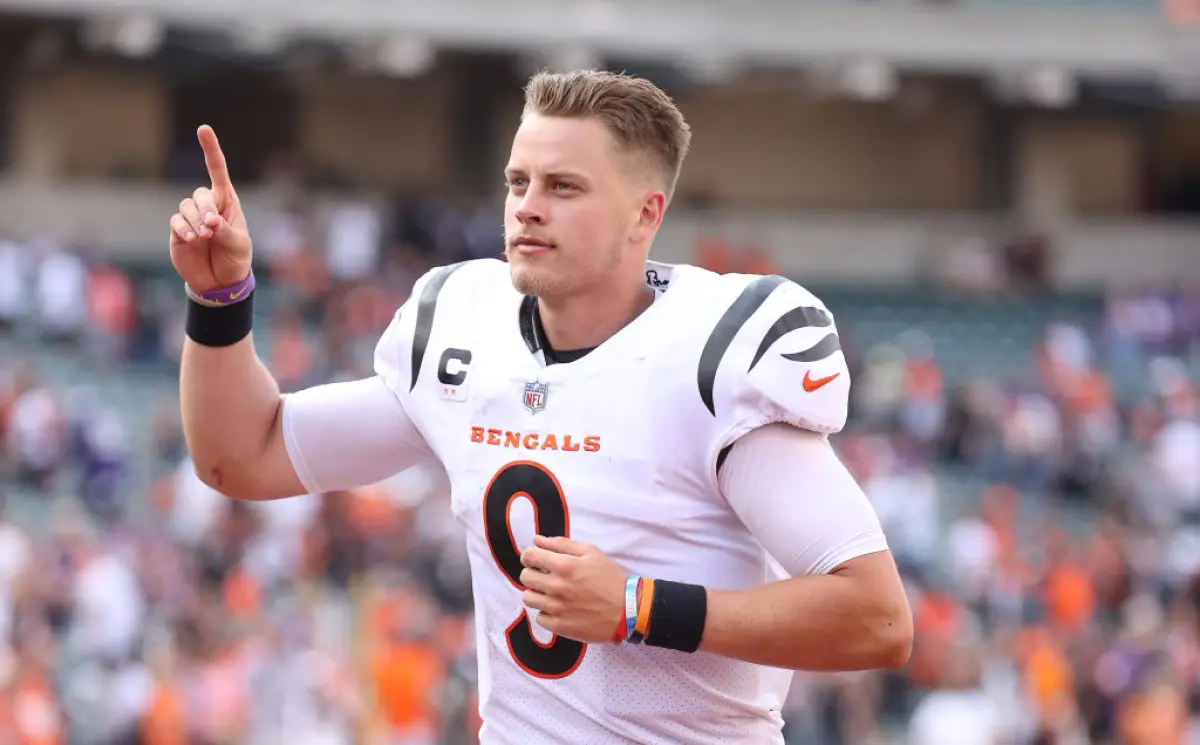 Minnesota Vikings v Cincinnati Bengals