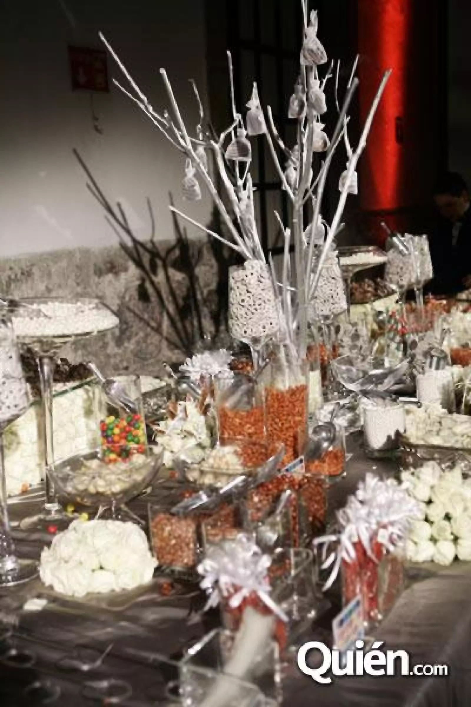 Boda Carolina Chuayffet y Jorge Lira