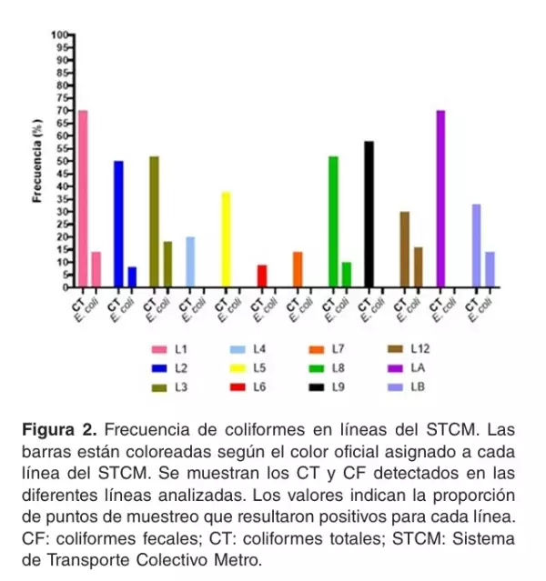 bacterias.jpg