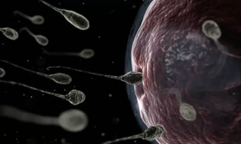 Los investigadores de la UNAM señalan que el proceso para llevar el producto final hasta las farmacias puede llevar tiempo. (Foto: Getty Images)